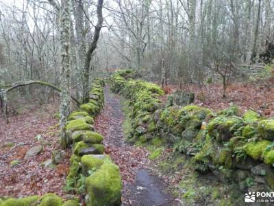 Ribeira Sacra-Cañón y Riberas del Sil; cova tallada ruta sendas del riaza excursion lagos de covadon